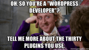 wordpress api developer