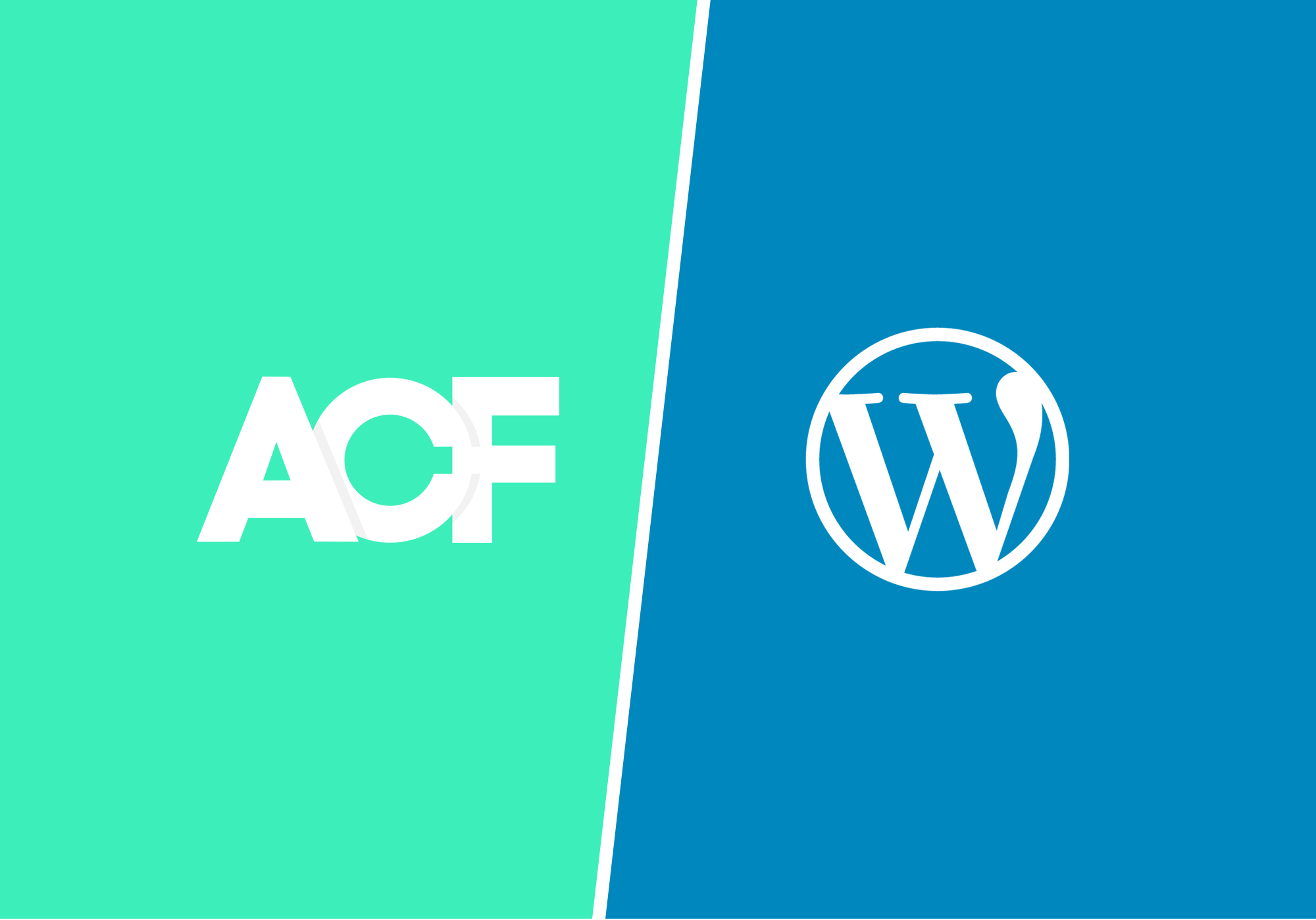 wordpress api custom fields