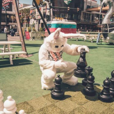 osoba przebrana za królika gra w szachy